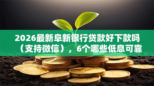 2026最新阜新银行贷款好下款吗(支持微信),6个哪些低息可靠可以分12期以上的借款平台无私分享 2026最新阜新银行贷款好下款吗(支持微信),6个哪些低息可靠可以分12期以上的借款平台无私分享