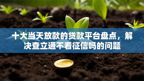 十大当天放款的贷款平台盘点，解决查立通不看征信吗的问题
