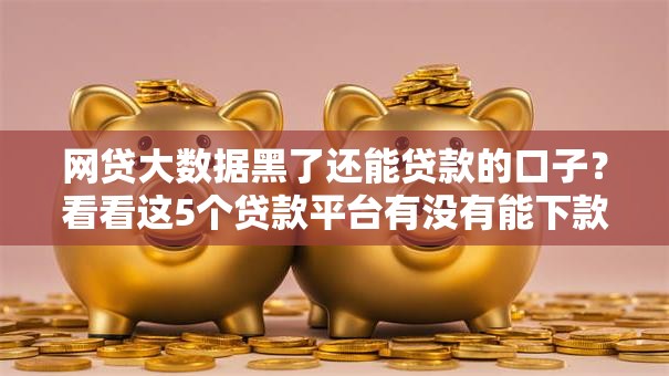 网贷大数据黑了还能贷款的口子?看看这5个贷款平台有没有能下款的 网贷大数据黑了还能贷款的口子?看看这5个贷款平台有没有能下款的