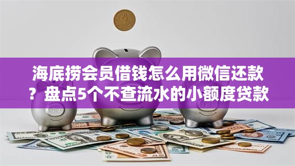 海底捞会员借钱怎么用微信还款?盘点5个不查流水的小额度贷款软件给你参考 海底捞会员借钱怎么用微信还款?盘点5个不查流水的小额度贷款软件给你参考