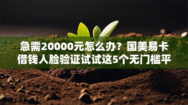 急需20000元怎么办?国美易卡借钱人脸验证试试这5个无门槛平台 急需20000元怎么办?国美易卡借钱人脸验证试试这5个无门槛平台
