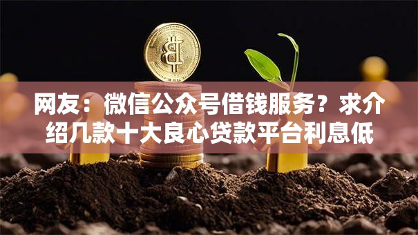 网友:微信公众号借钱服务?求介绍几款十大良心贷款平台利息低 网友:微信公众号借钱服务?求介绍几款十大良心贷款平台利息低