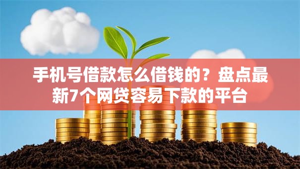 手机号借款怎么借钱的?盘点最新7个网贷容易下款的平台 手机号借款怎么借钱的?盘点最新7个网贷容易下款的平台
