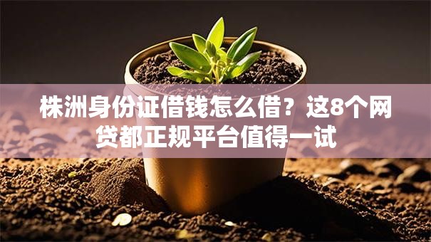 株洲身份证借钱怎么借？这8个网贷都正规平台值得一试
