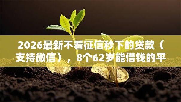 2026最新不看征信秒下的贷款(支持微信),8个62岁能借钱的平台无私分享 2026最新不看征信秒下的贷款(支持微信),8个62岁能借钱的平台无私分享