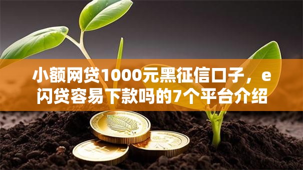 小额网贷1000元黑征信口子,e闪贷容易下款吗的7个平台介绍 小额网贷1000元黑征信口子,e闪贷容易下款吗的7个平台介绍