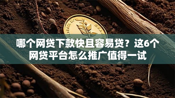哪个网贷下款快且容易贷?这6个网贷平台怎么推广值得一试 哪个网贷下款快且容易贷?这6个网贷平台怎么推广值得一试