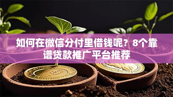 如何在微信分付里借钱呢?8个靠谱贷款推广平台推荐 如何在微信分付里借钱呢?8个靠谱贷款推广平台推荐