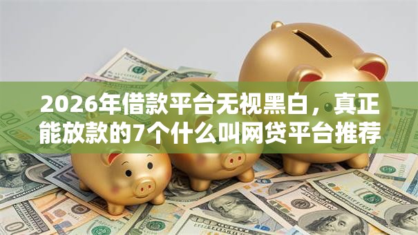 2026年借款平台无视黑白,真正能放款的7个什么叫网贷平台推荐 2026年借款平台无视黑白,真正能放款的7个什么叫网贷平台推荐