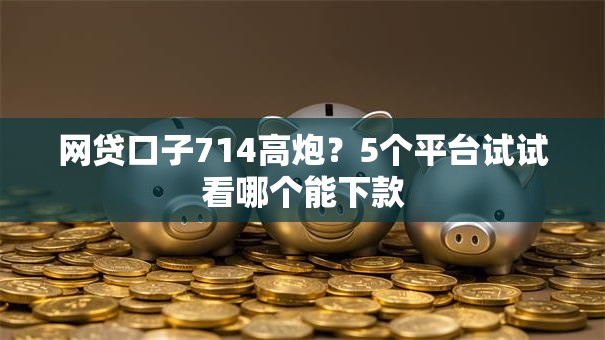 网贷口子714高炮?5个平台试试看哪个能下款 网贷口子714高炮?5个平台试试看哪个能下款