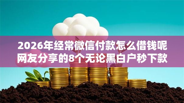 2026年经常微信付款怎么借钱呢网友分享的8个无论黑白户秒下款的贷款平台我觉得不错! 2026年经常微信付款怎么借钱呢网友分享的8个无论黑白户秒下款的贷款平台我觉得不错!