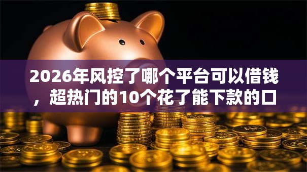 2026年风控了哪个平台可以借钱,超热门的10个花了能下款的口子推荐 2026年风控了哪个平台可以借钱,超热门的10个花了能下款的口子推荐