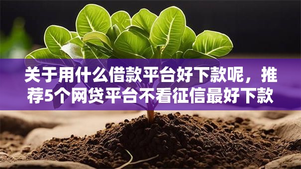 关于用什么借款平台好下款呢,推荐5个网贷平台不看征信最好下款给你 关于用什么借款平台好下款呢,推荐5个网贷平台不看征信最好下款给你