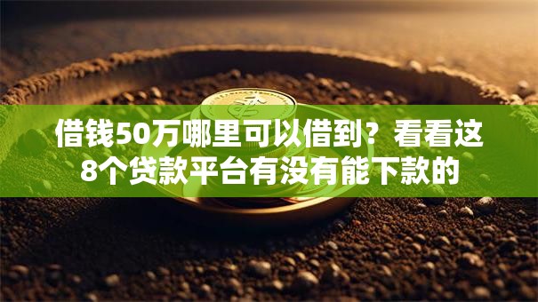 借钱50万哪里可以借到?看看这8个贷款平台有没有能下款的 借钱50万哪里可以借到?看看这8个贷款平台有没有能下款的