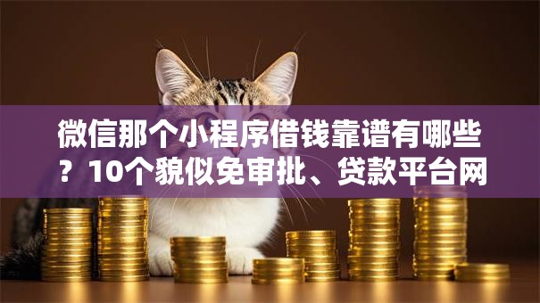 微信那个小程序借钱靠谱有哪些?10个貌似免审批、贷款平台网合集 微信那个小程序借钱靠谱有哪些?10个貌似免审批、贷款平台网合集
