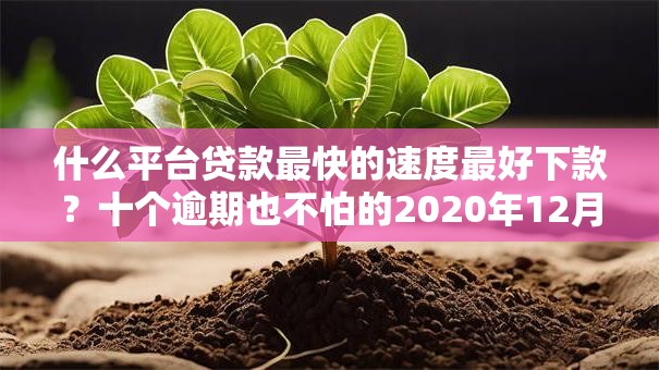 什么平台贷款最快的速度最好下款?十个逾期也不怕的2020年12月好下款的口子 什么平台贷款最快的速度最好下款?十个逾期也不怕的2020年12月好下款的口子