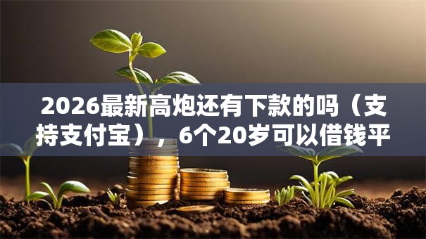 2026最新高炮还有下款的吗(支持支付宝),6个20岁可以借钱平台不查征信的口子无私分享 2026最新高炮还有下款的吗(支持支付宝),6个20岁可以借钱平台不查征信的口子无私分享