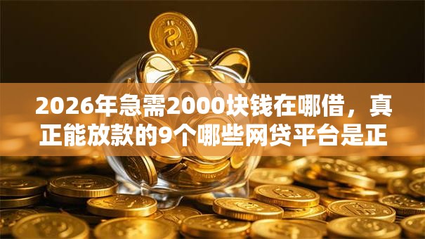 2026年急需2000块钱在哪借,真正能放款的9个哪些网贷平台是正规的推荐 2026年急需2000块钱在哪借,真正能放款的9个哪些网贷平台是正规的推荐