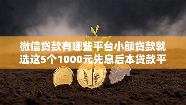 微信贷款有哪些平台小额贷款就选这5个1000元先息后本贷款平台 微信贷款有哪些平台小额贷款就选这5个1000元先息后本贷款平台