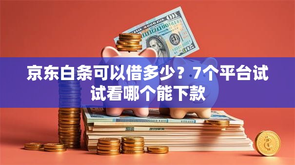 京东白条可以借多少?7个平台试试看哪个能下款 京东白条可以借多少?7个平台试试看哪个能下款
