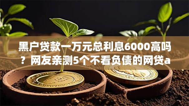 黑户贷款一万元总利息6000高吗？网友亲测5个不看负债的网贷app盘点