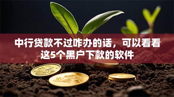 中行贷款不过咋办的话,可以看看这5个黑户下款的软件 中行贷款不过咋办的话,可以看看这5个黑户下款的软件