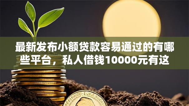 最新发布小额贷款容易通过的有哪些平台，私人借钱10000元有这5个渠道