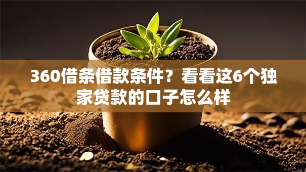 360借条借款条件?看看这6个独家贷款的口子怎么样 360借条借款条件?看看这6个独家贷款的口子怎么样