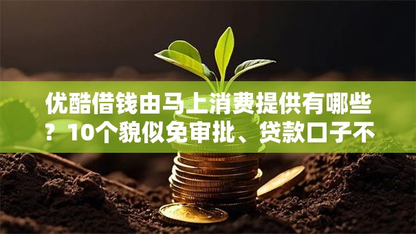 优酷借钱由马上消费提供有哪些?10个貌似免审批、贷款口子不要中介求推荐合集 优酷借钱由马上消费提供有哪些?10个貌似免审批、贷款口子不要中介求推荐合集