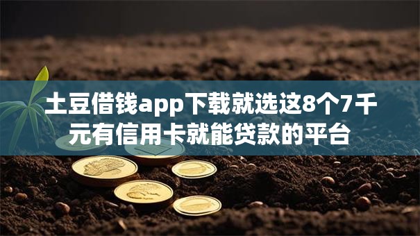 土豆借钱app下载就选这8个7千元有信用卡就能贷款的平台 土豆借钱app下载就选这8个7千元有信用卡就能贷款的平台