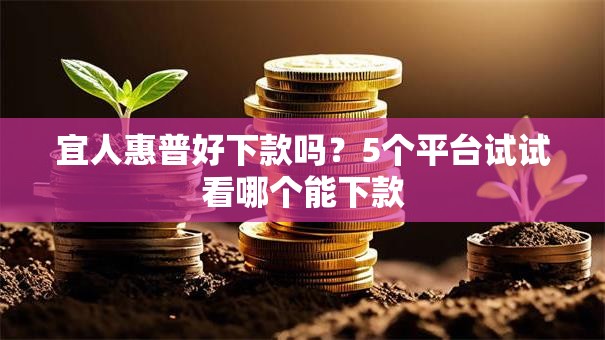 宜人惠普好下款吗？5个平台试试看哪个能下款