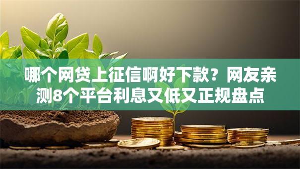 哪个网贷上征信啊好下款？网友亲测8个平台利息又低又正规盘点