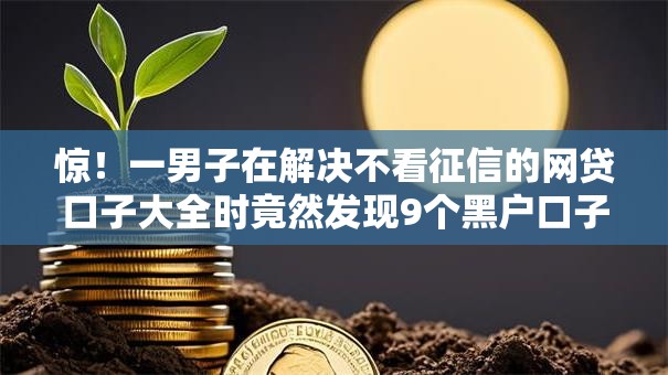惊!一男子在解决不看征信的网贷口子大全时竟然发现9个黑户口子,事后分享了出来 惊!一男子在解决不看征信的网贷口子大全时竟然发现9个黑户口子,事后分享了出来