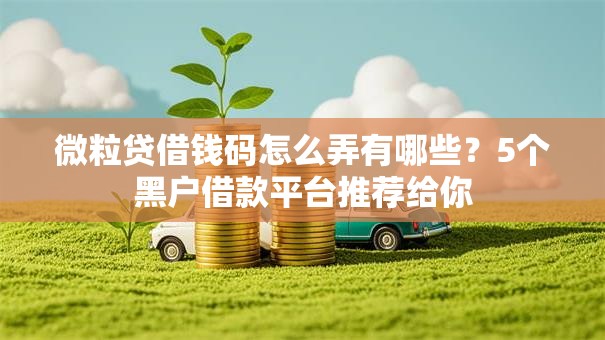 微粒贷借钱码怎么弄有哪些？5个黑户借款平台推荐给你