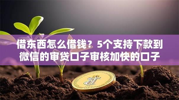 借东西怎么借钱？5个支持下款到微信的审贷口子审核加快的口子