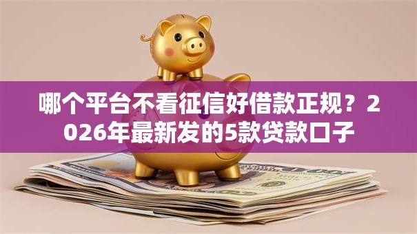 哪个平台不看征信好借款正规?2026年最新发的5款贷款口子 哪个平台不看征信好借款正规?2026年最新发的5款贷款口子