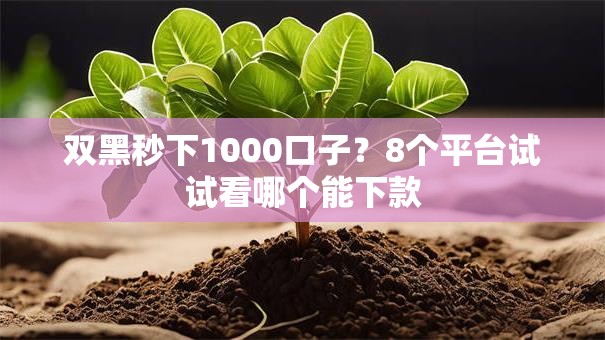 双黑秒下1000口子?8个平台试试看哪个能下款 双黑秒下1000口子?8个平台试试看哪个能下款