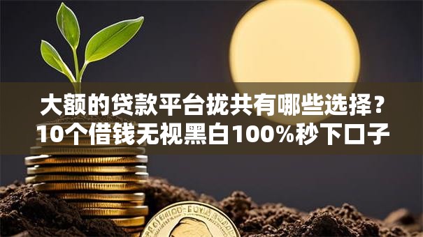 大额的贷款平台拢共有哪些选择？10个借钱无视黑白100%秒下口子详解