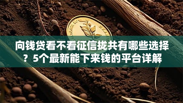向钱贷看不看征信拢共有哪些选择?5个最新能下来钱的平台详解 向钱贷看不看征信拢共有哪些选择?5个最新能下来钱的平台详解