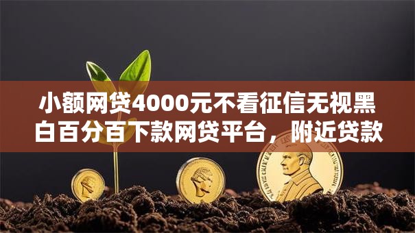 小额网贷4000元不看征信无视黑白百分百下款网贷平台,附近贷款公司不看征信的的8个平台介绍 小额网贷4000元不看征信无视黑白百分百下款网贷平台,附近贷款公司不看征信的的8个平台介绍