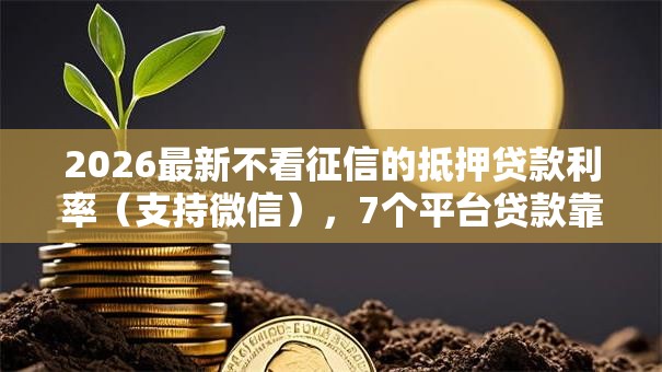 2026最新不看征信的抵押贷款利率(支持微信),7个平台贷款靠谱无私分享 2026最新不看征信的抵押贷款利率(支持微信),7个平台贷款靠谱无私分享