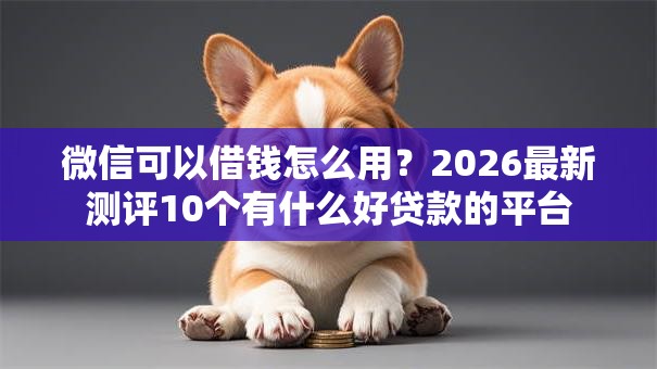 微信可以借钱怎么用?2026最新测评10个有什么好贷款的平台 微信可以借钱怎么用?2026最新测评10个有什么好贷款的平台