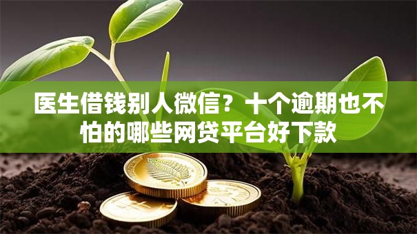 医生借钱别人微信?十个逾期也不怕的哪些网贷平台好下款 医生借钱别人微信?十个逾期也不怕的哪些网贷平台好下款