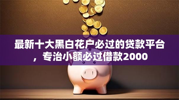 最新十大黑白花户必过的贷款平台,专治小额必过借款2000 最新十大黑白花户必过的贷款平台,专治小额必过借款2000