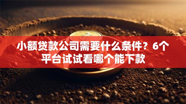 小额贷款公司需要什么条件?6个平台试试看哪个能下款 小额贷款公司需要什么条件?6个平台试试看哪个能下款
