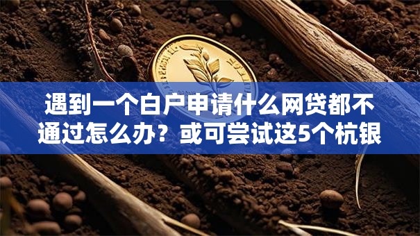 遇到一个白户申请什么网贷都不通过怎么办?或可尝试这5个杭银消金是什么贷款平台 遇到一个白户申请什么网贷都不通过怎么办?或可尝试这5个杭银消金是什么贷款平台