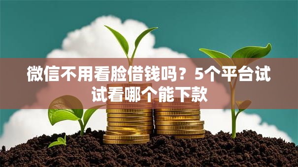 微信不用看脸借钱吗?5个平台试试看哪个能下款 微信不用看脸借钱吗?5个平台试试看哪个能下款