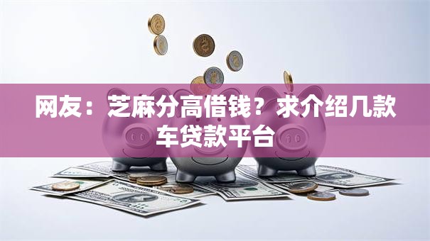 网友:芝麻分高借钱?求介绍几款车贷款平台 网友:芝麻分高借钱?求介绍几款车贷款平台