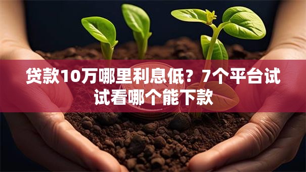 贷款10万哪里利息低?7个平台试试看哪个能下款 贷款10万哪里利息低?7个平台试试看哪个能下款