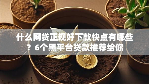 什么网贷正规好下款快点有哪些?6个黑平台贷款推荐给你 什么网贷正规好下款快点有哪些?6个黑平台贷款推荐给你